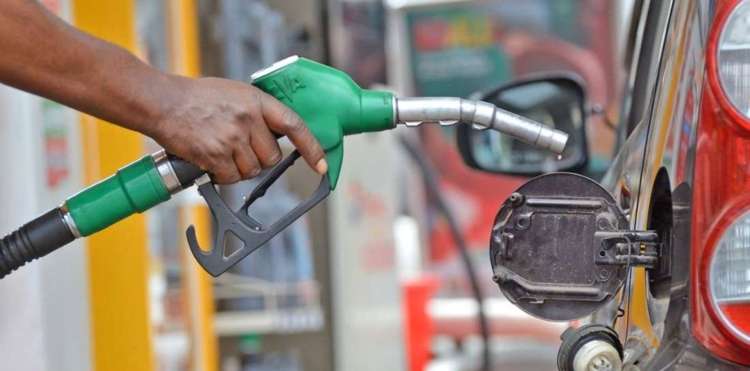 Francis Luchivya tweet media