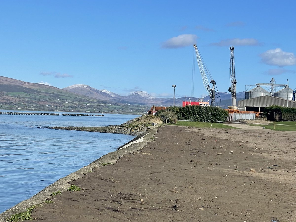 Ken Kearney tweet media