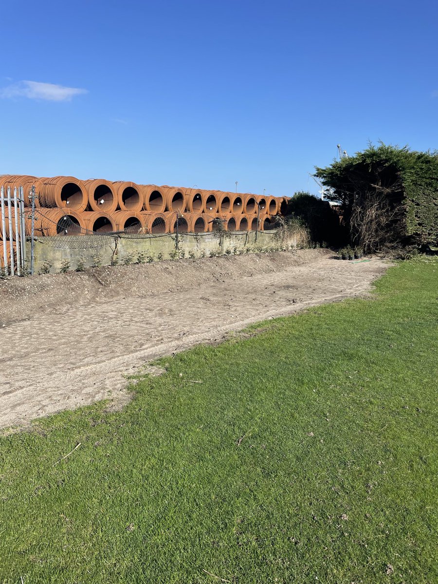 Ken Kearney tweet media