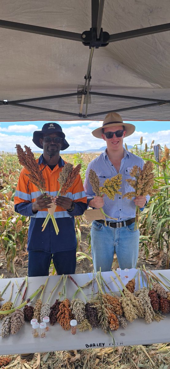 David Jordan tweet media