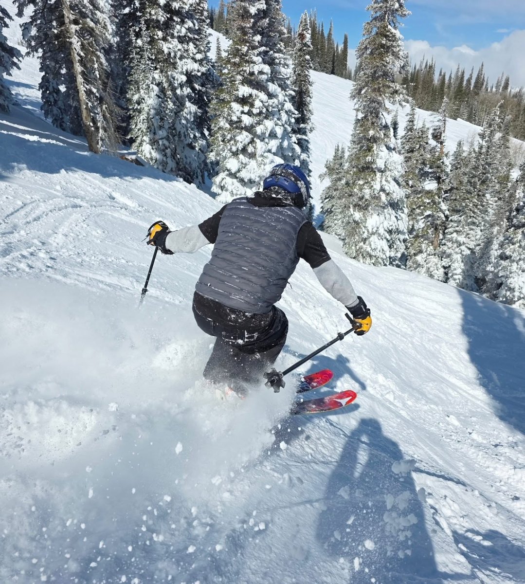 Snow Forecast.com tweet media