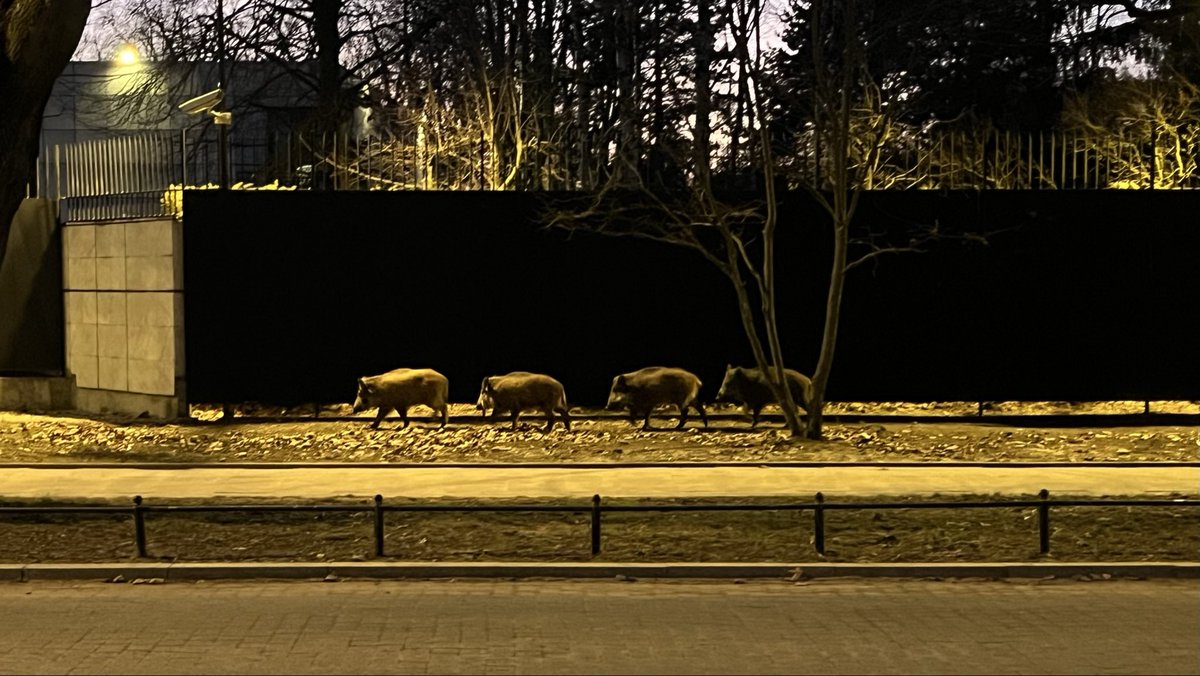 Ina Ruck tweet media