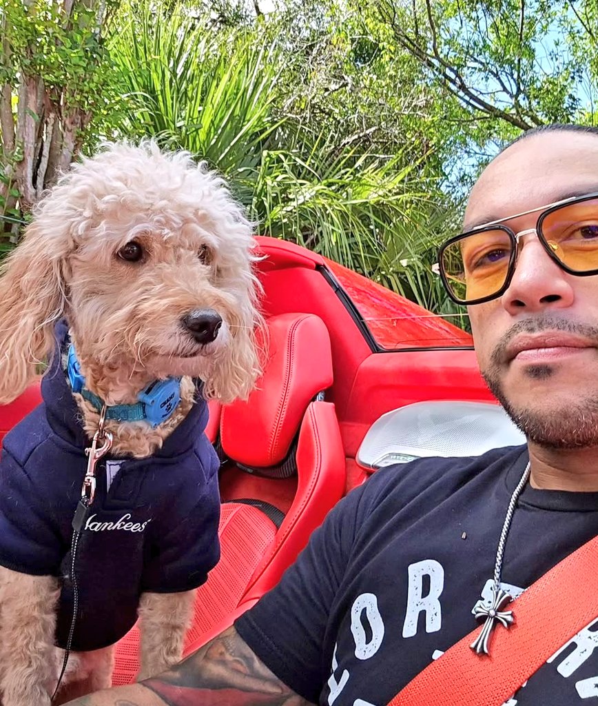 DPfanpage_media's tweet image. Daily Photo! #DamianPriest #Champ 🐩🏹