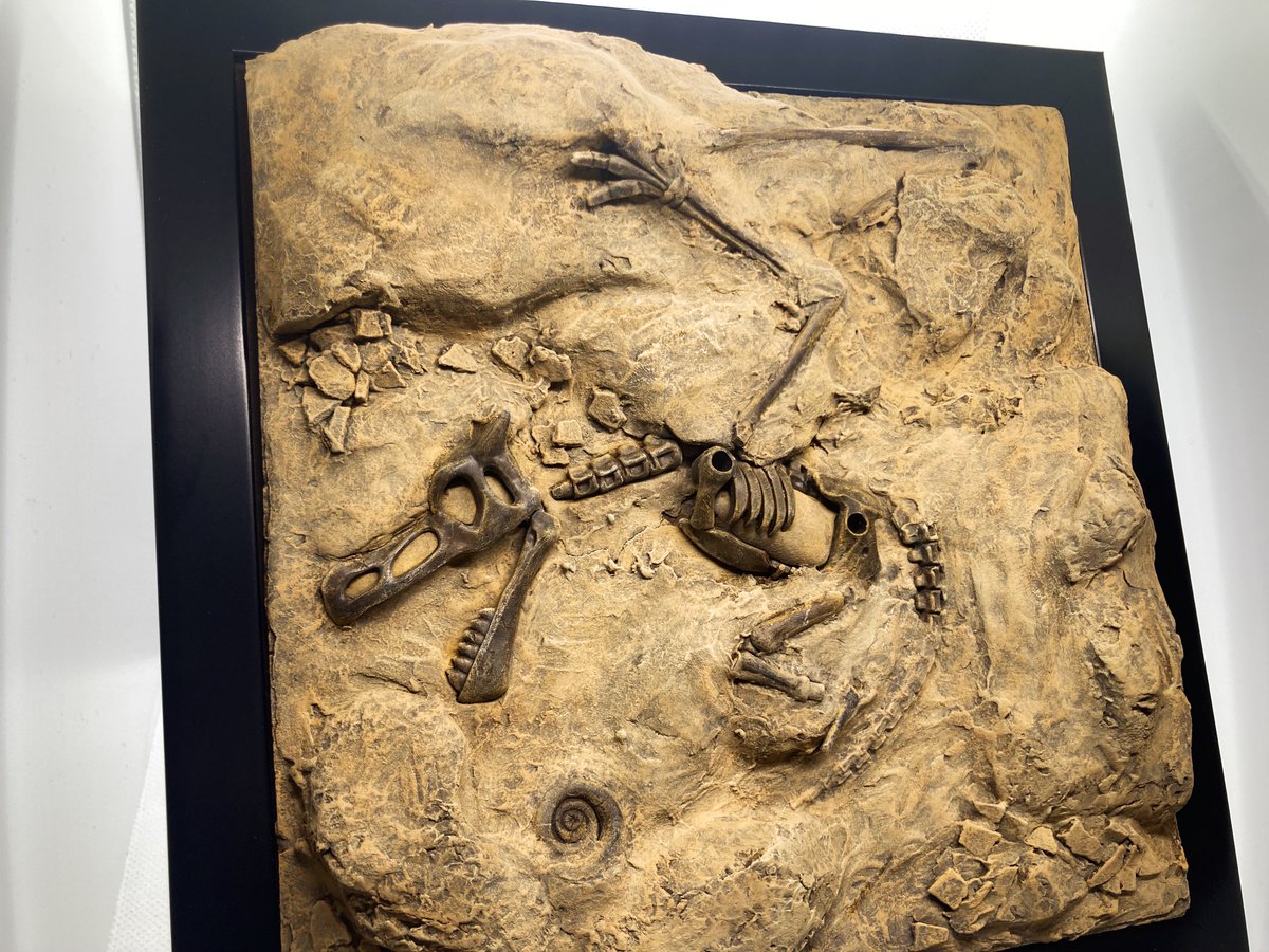 なてき tweet media