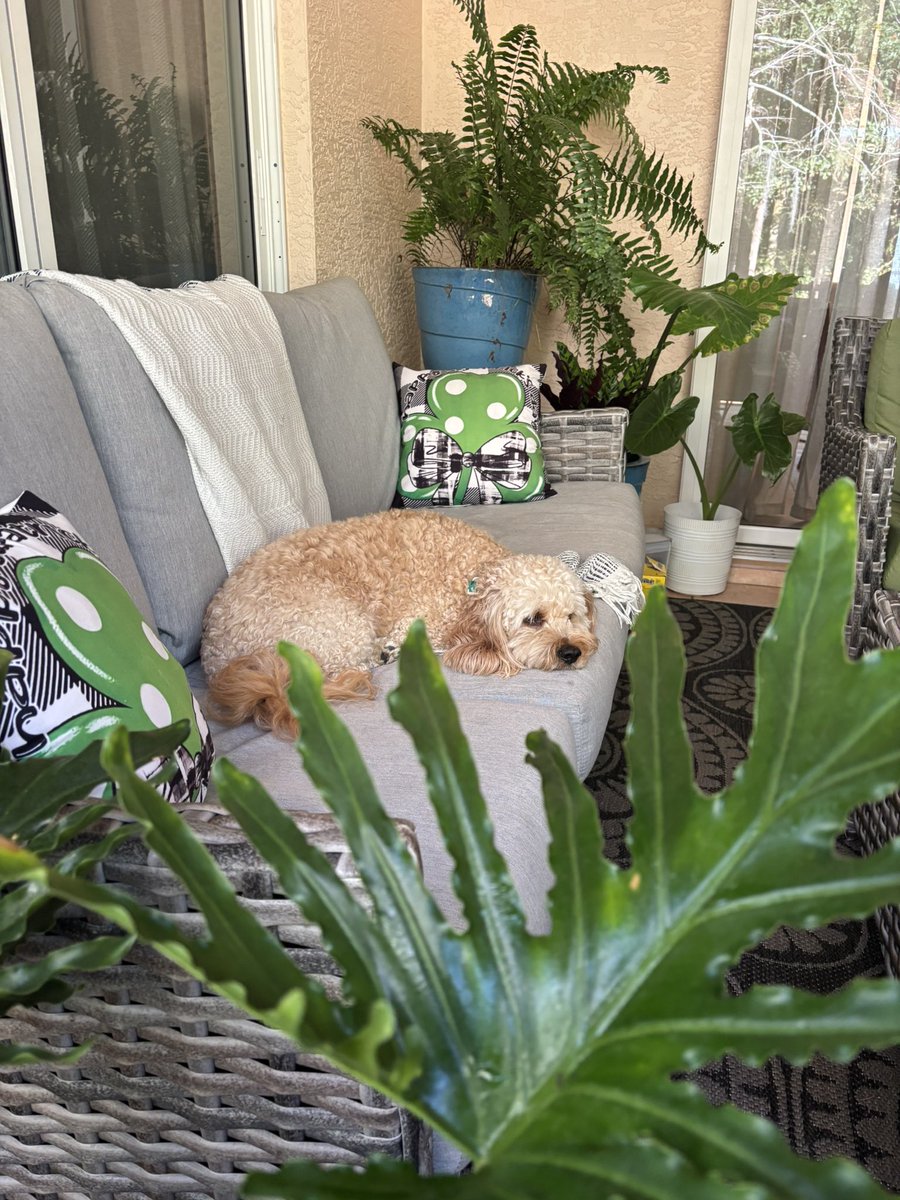 Andy Engelbrecht tweet media