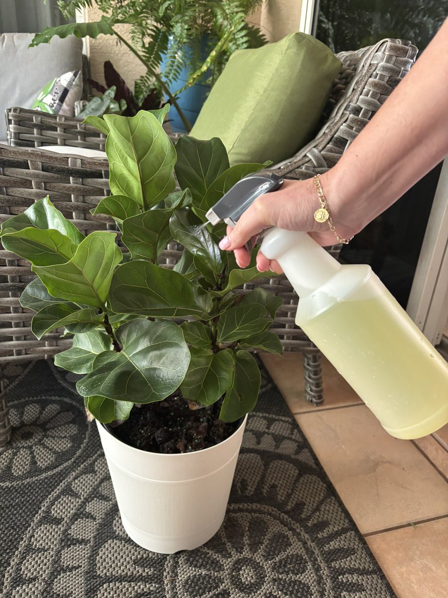 Andy Engelbrecht tweet media