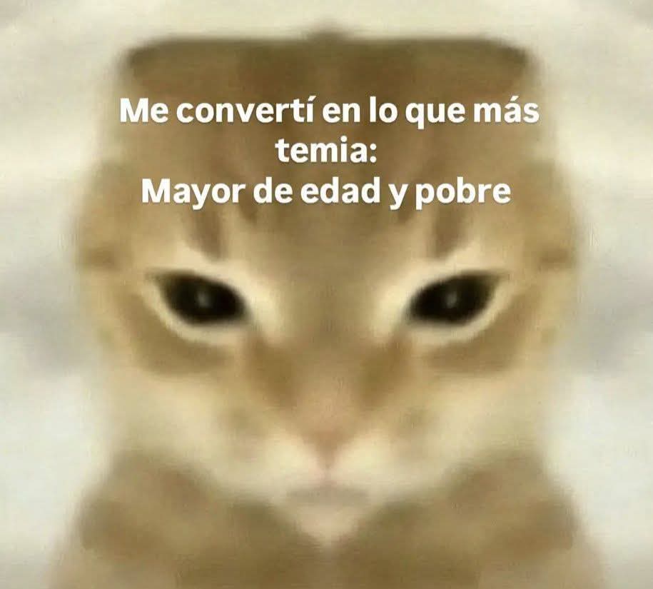 Paisajes del Mundo tweet media