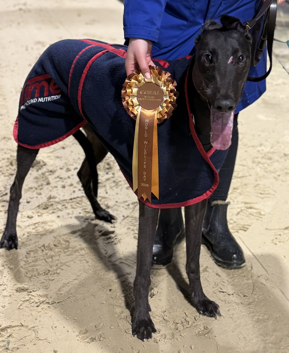 James Corden tweet media