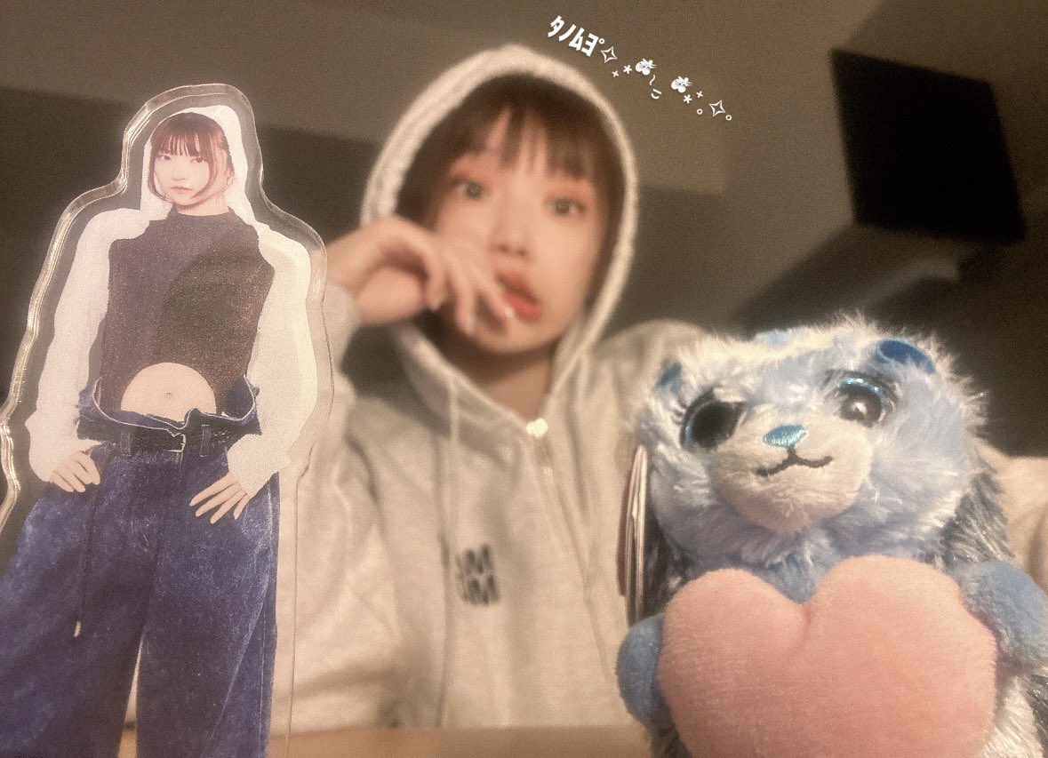 留守番ぬいと留守番アクスタ .⊹˖ᯓ☆. ݁₊