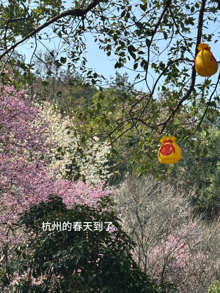 一点都不可爱 tweet media