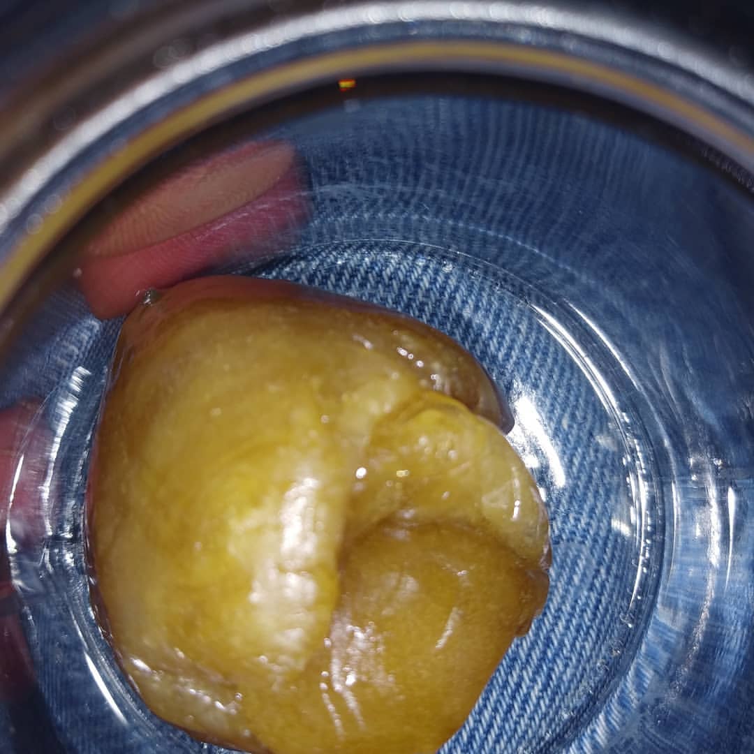 symgenetics's tweet photo. Grease bucket #symbioticgenetics #greasebucket https://t.co/DMnShh12jQ