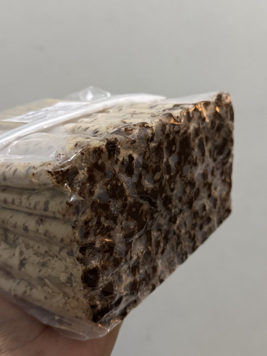 INI LAAAH JELAS… kalau jadi manusia pengen ku nikahin deh😭🫵 saking ENAKNYA…… yaampun…

sosis keju moncrot yg FULL KEJU, then thanks to yg udah ADAIN UDANG KEJU… and please semua org harus tau wafer roll seenaaaaaak ini tu ada!!!🫵