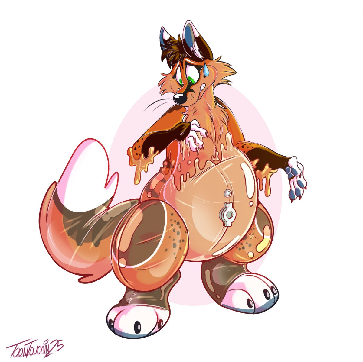 Archie 🦊 tweet media