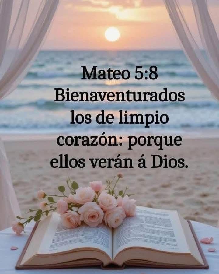 Yenny torres tweet media