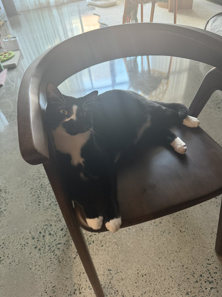 𝘚𝘢𝘮𝘶𝘦𝘭 𝘞𝘢𝘭𝘬𝘦𝘳 tweet media