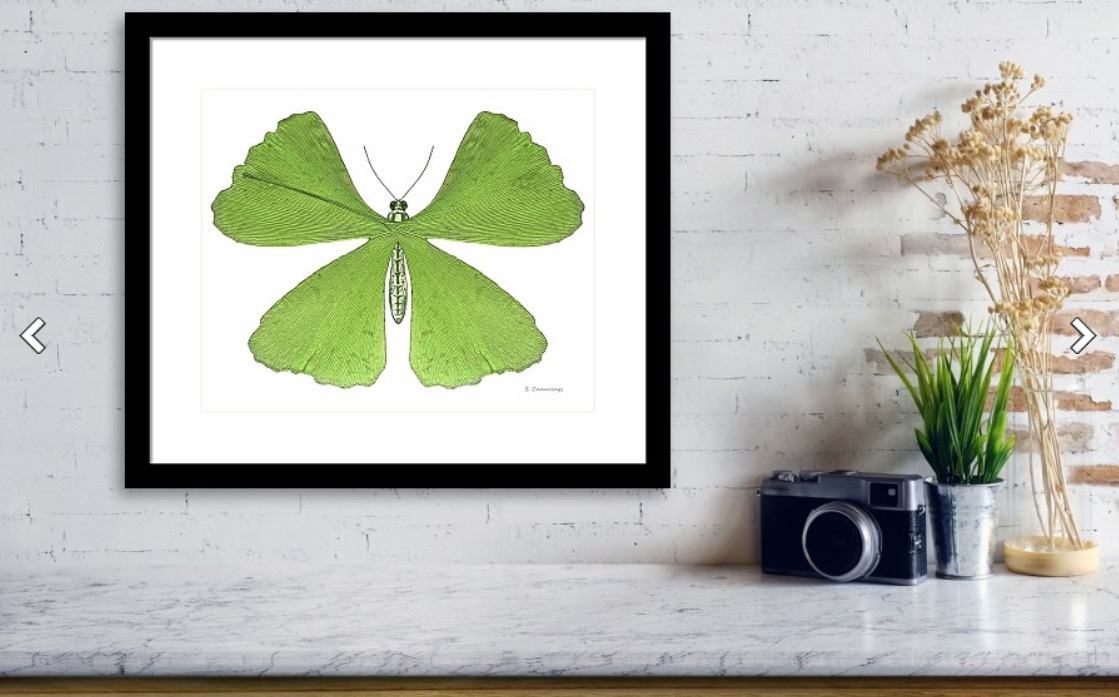 Sharon Cummings tweet media