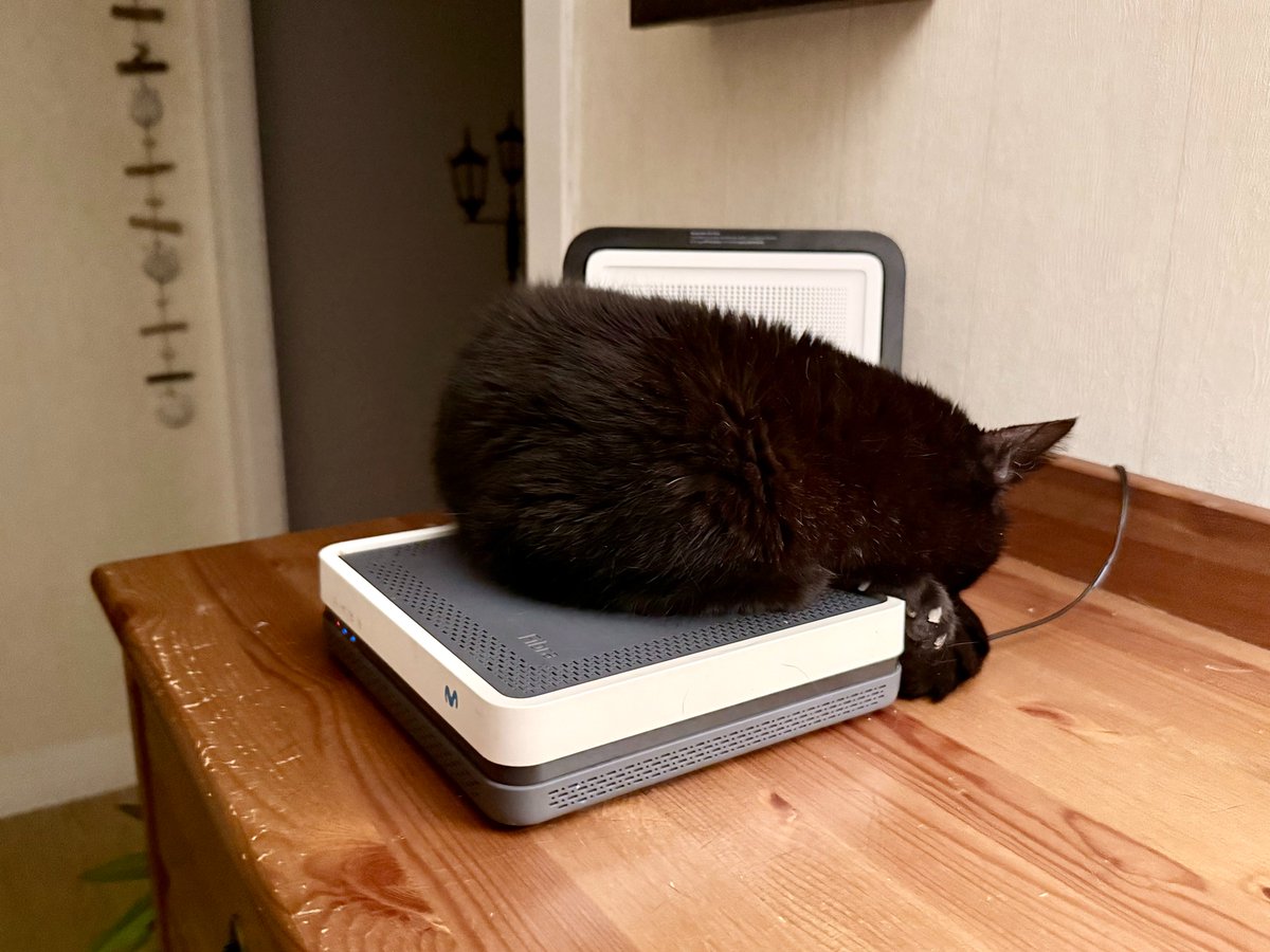 Jaume B. tweet media