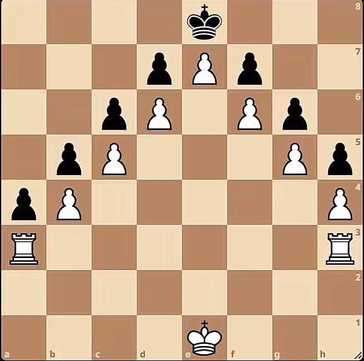 Chess Master tweet media