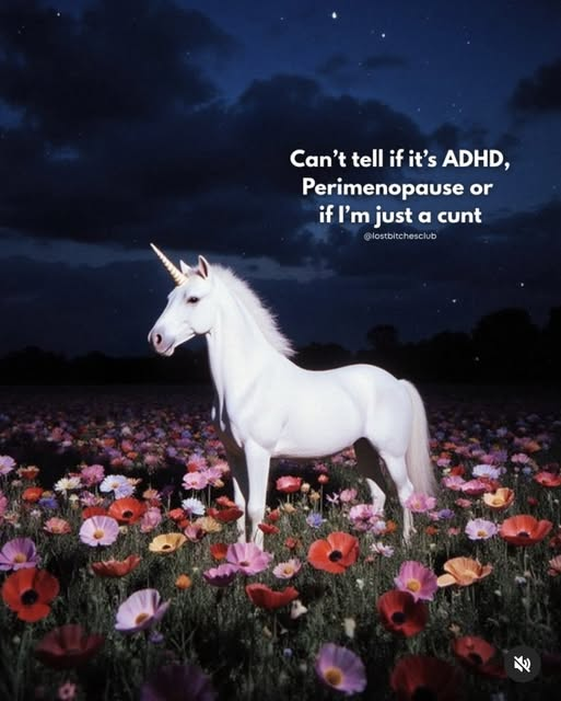 BSwirlsi's tweet photo. BAHAHAHAHAHAHAHAHAHA I'm a Crone, I'm almost through Menopause. Goddess help me, I hope I'm almost through! #CuNextTuesday https://t.co/tOfxc1zwlf