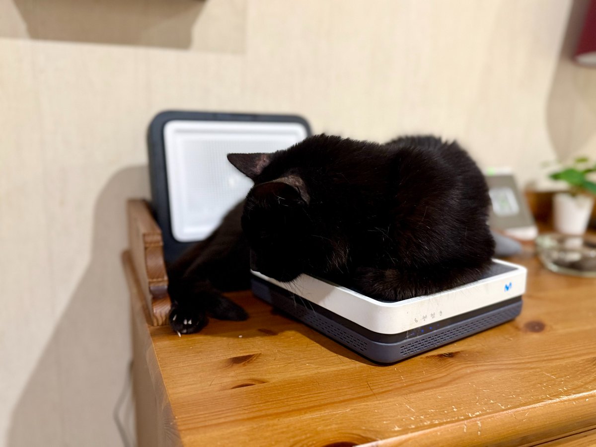 Jaume B. tweet media