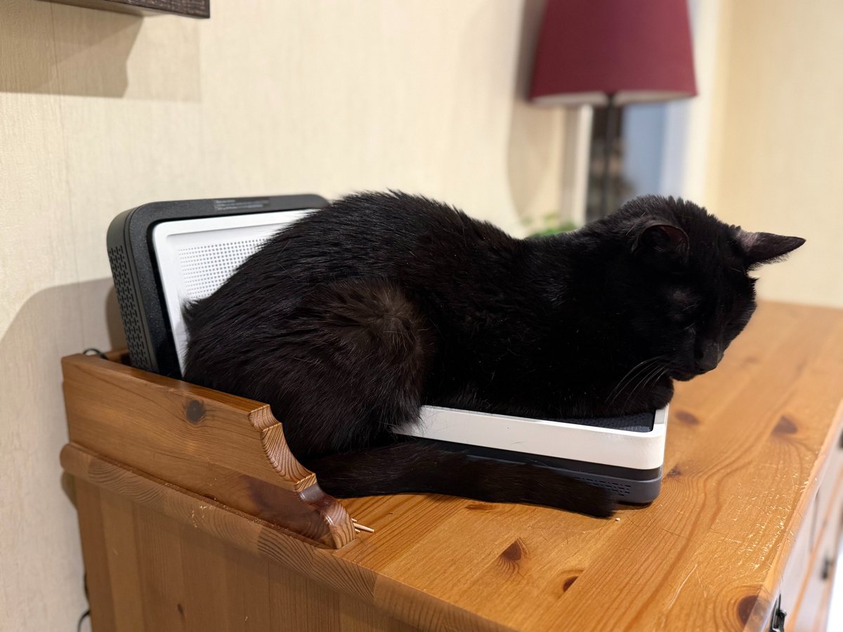 Jaume B. tweet media