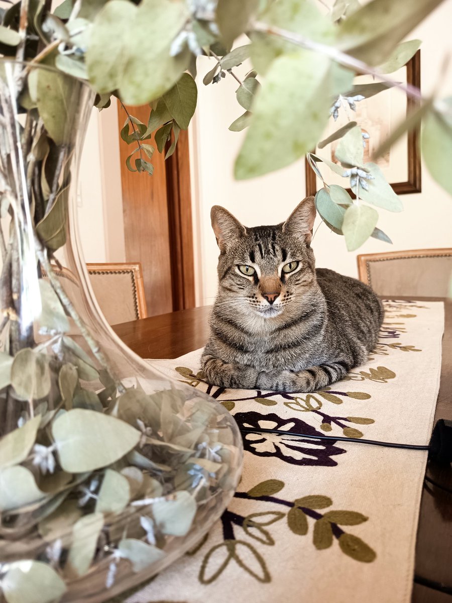 Julia D'Onofrio 🟠🎗️🟠 tweet media