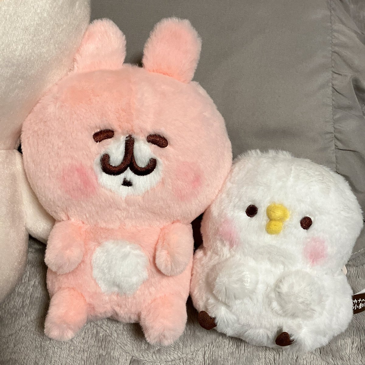 ねーね tweet media