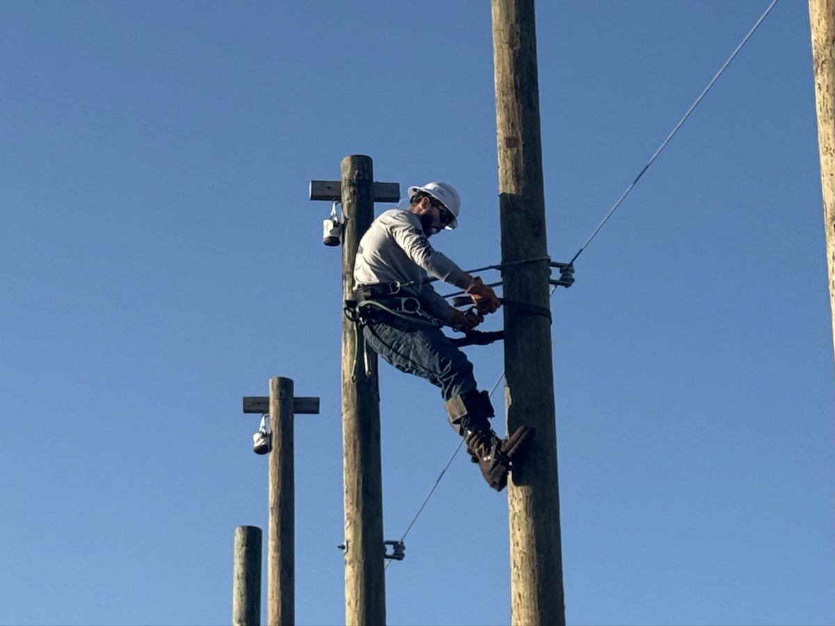 Aly Coleman Raschid tweet media