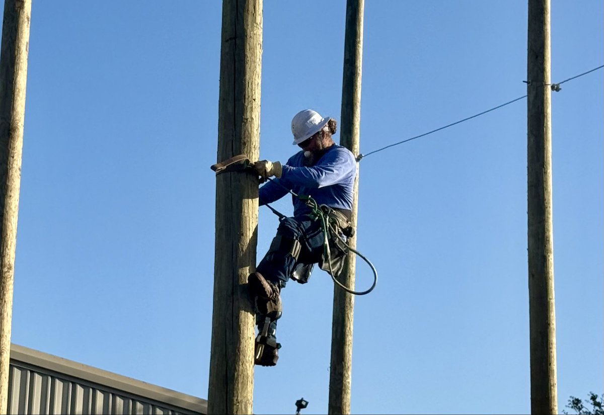 Aly Coleman Raschid tweet media