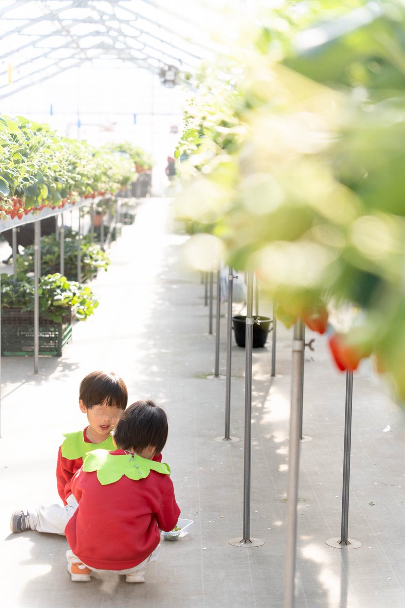 ひか🍒双子4y tweet media