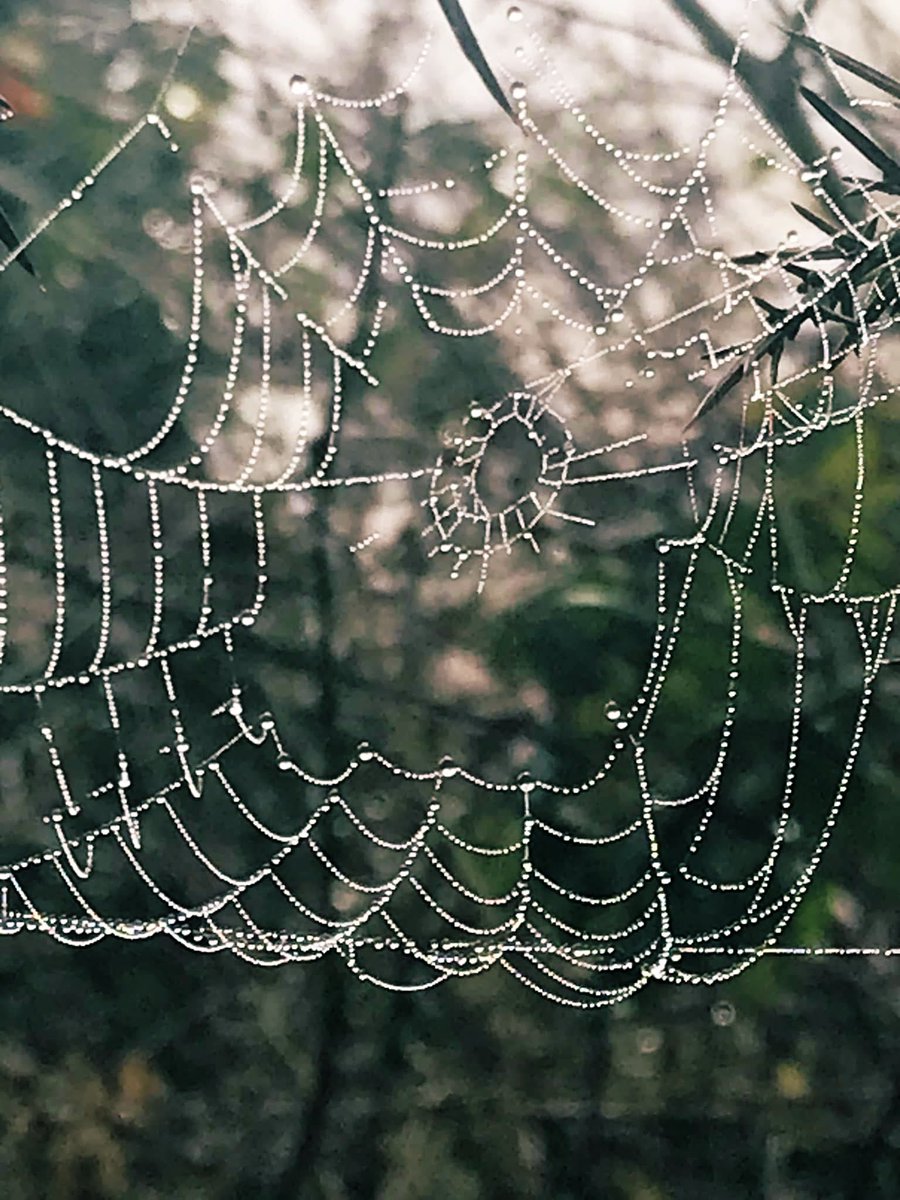 fat girl walking tweet media