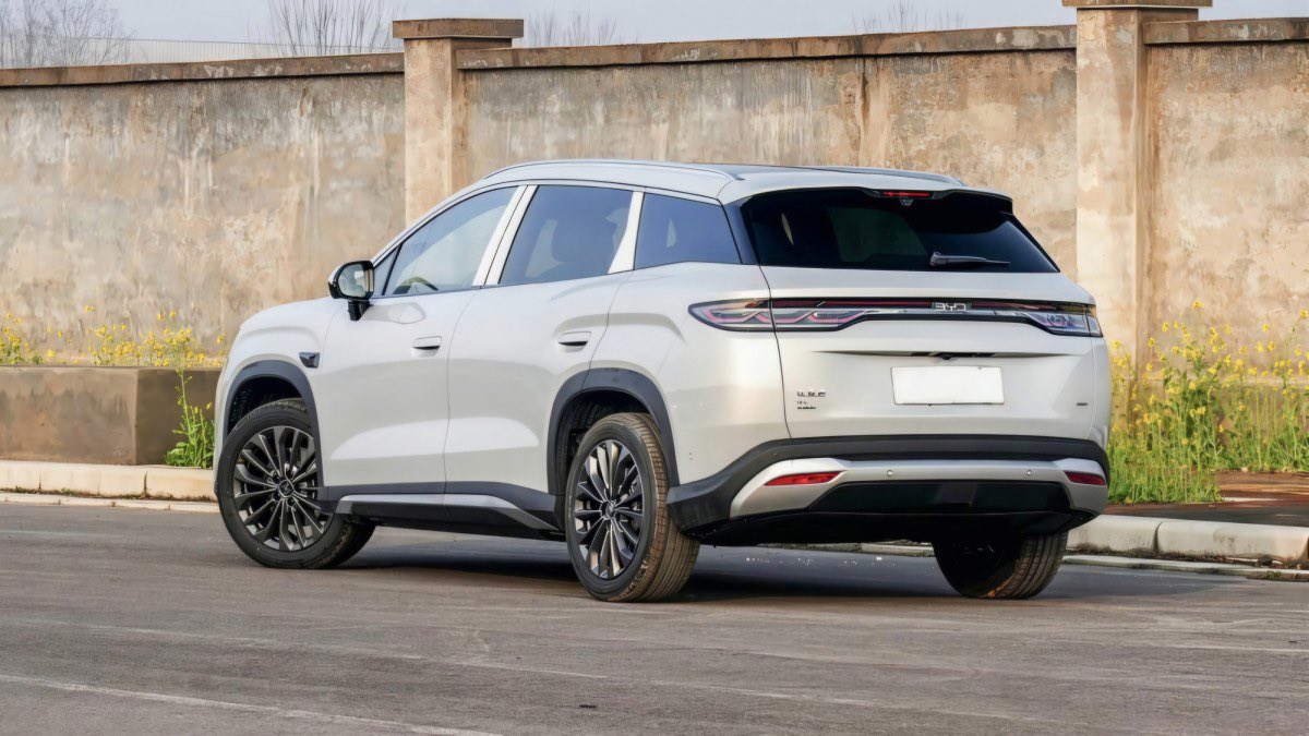 gash tamrat 🦌 tweet media