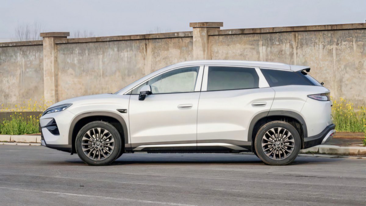 gash tamrat 🦌 tweet media