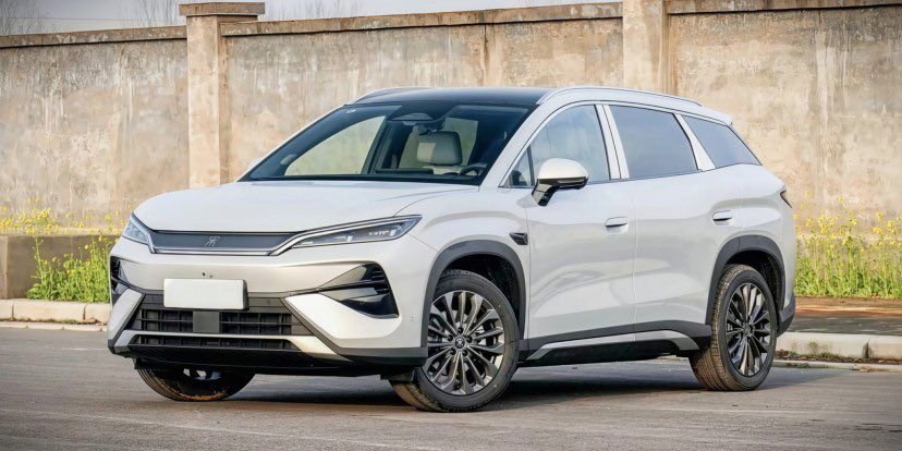 gash tamrat 🦌 tweet media