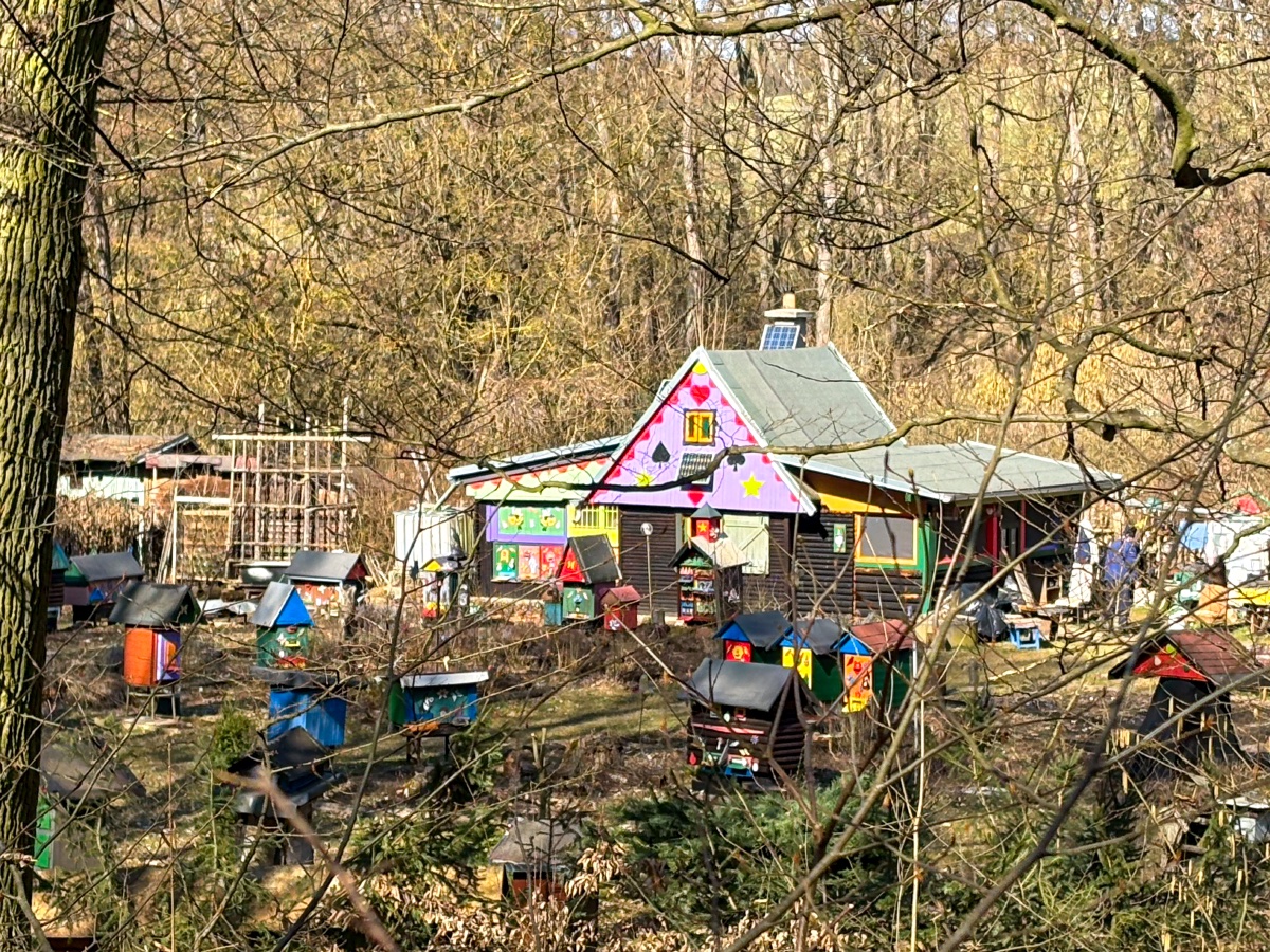 Jaroslav Macháček tweet media