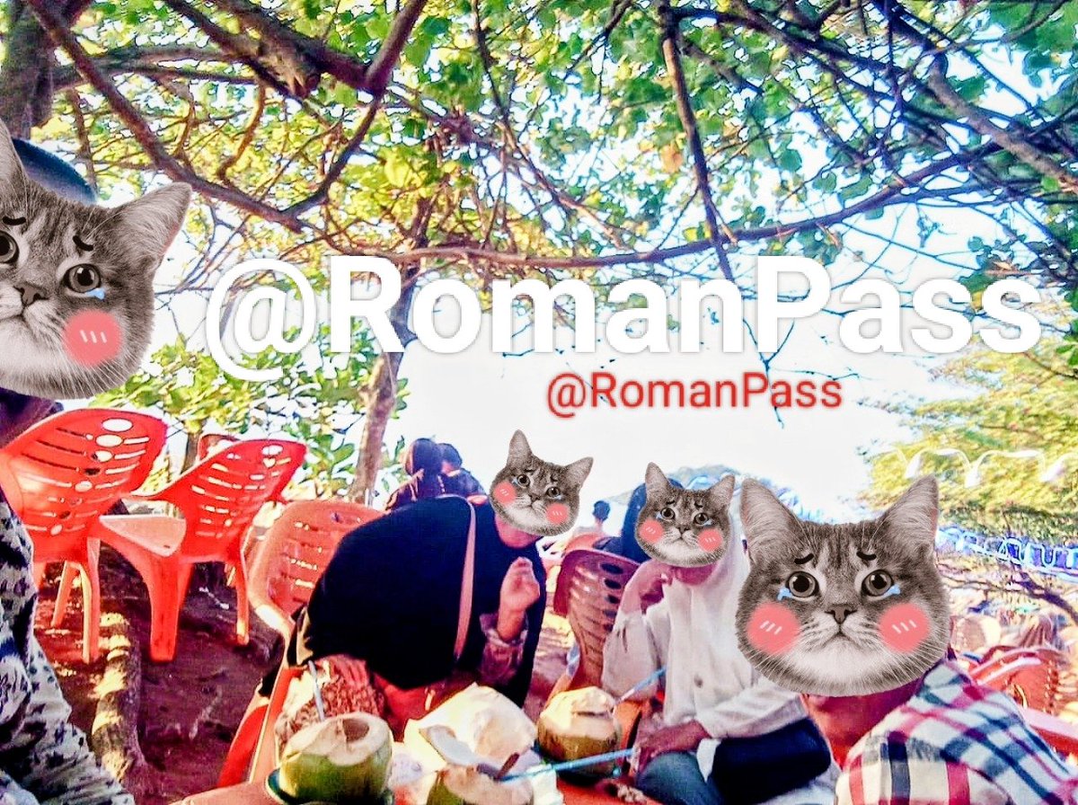 RomanPass tweet media