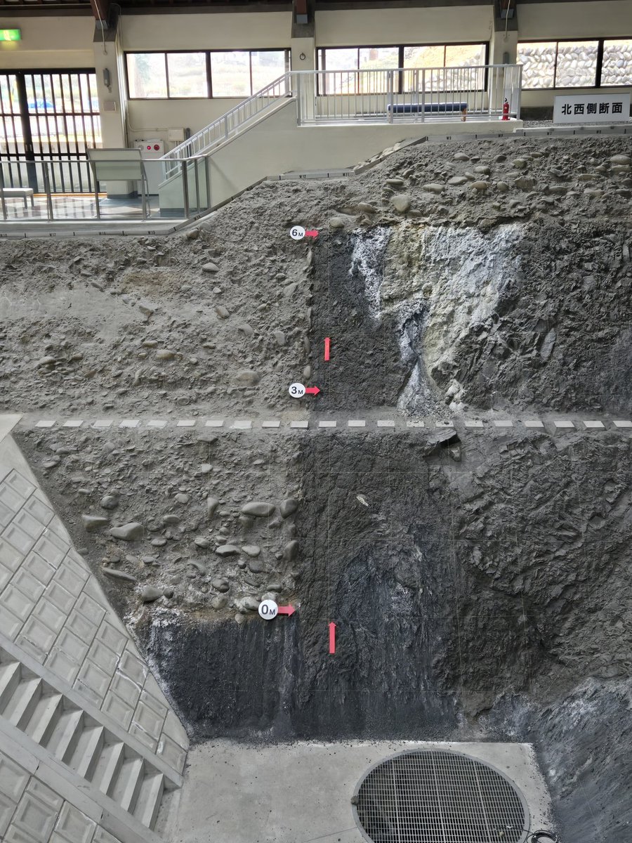 いこ～ tweet media