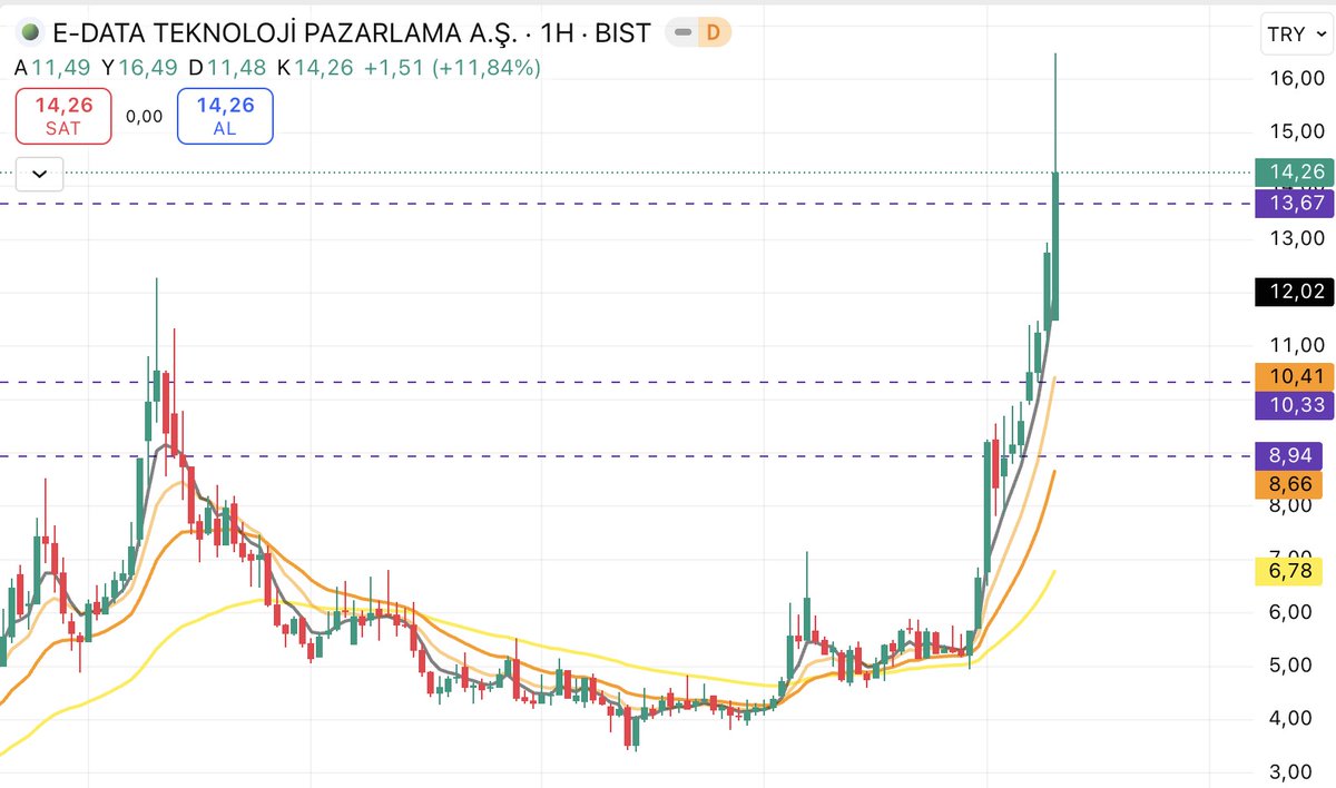 Beyza SOYDEMİR tweet media