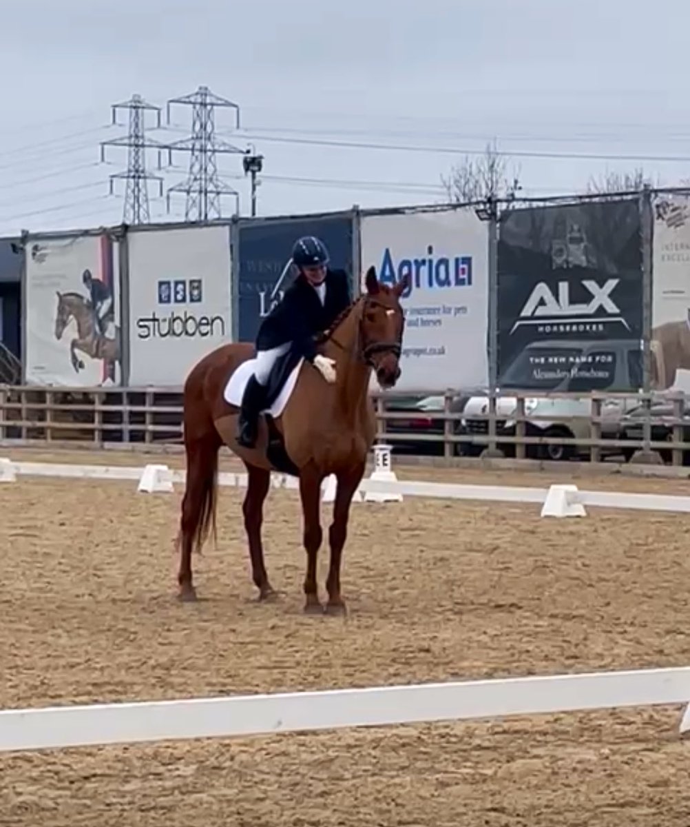 𝐫𝐚𝐜𝐡 🐴 tweet media