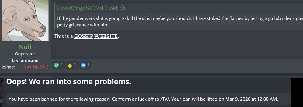 TulpaTown tweet media