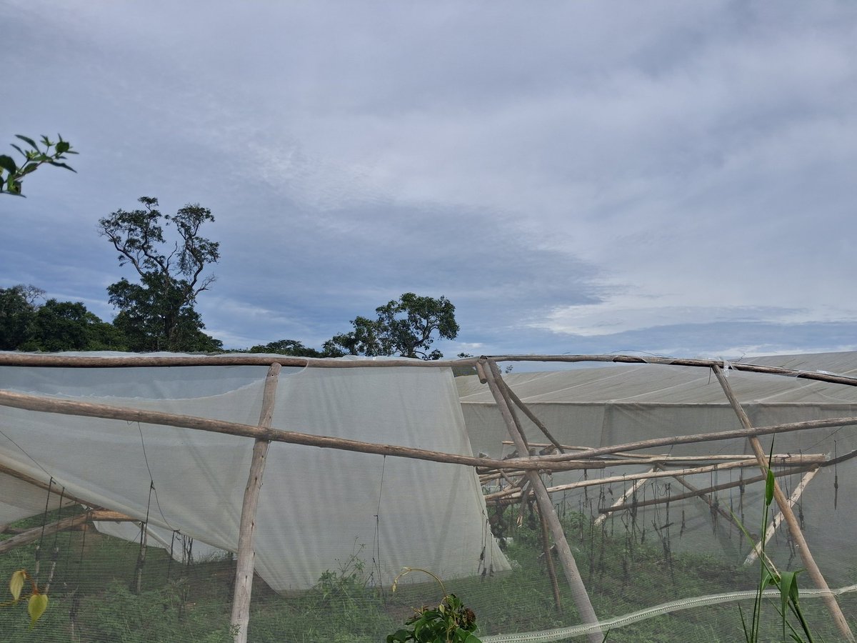 Green Institute tweet media