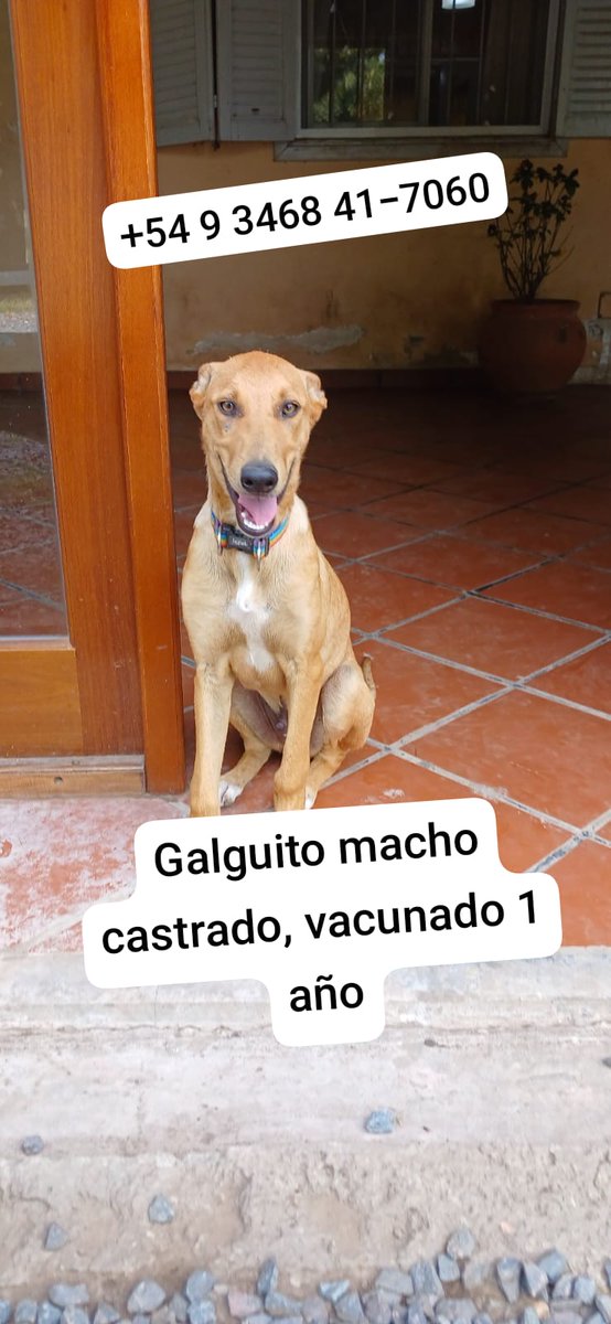 Difundimos