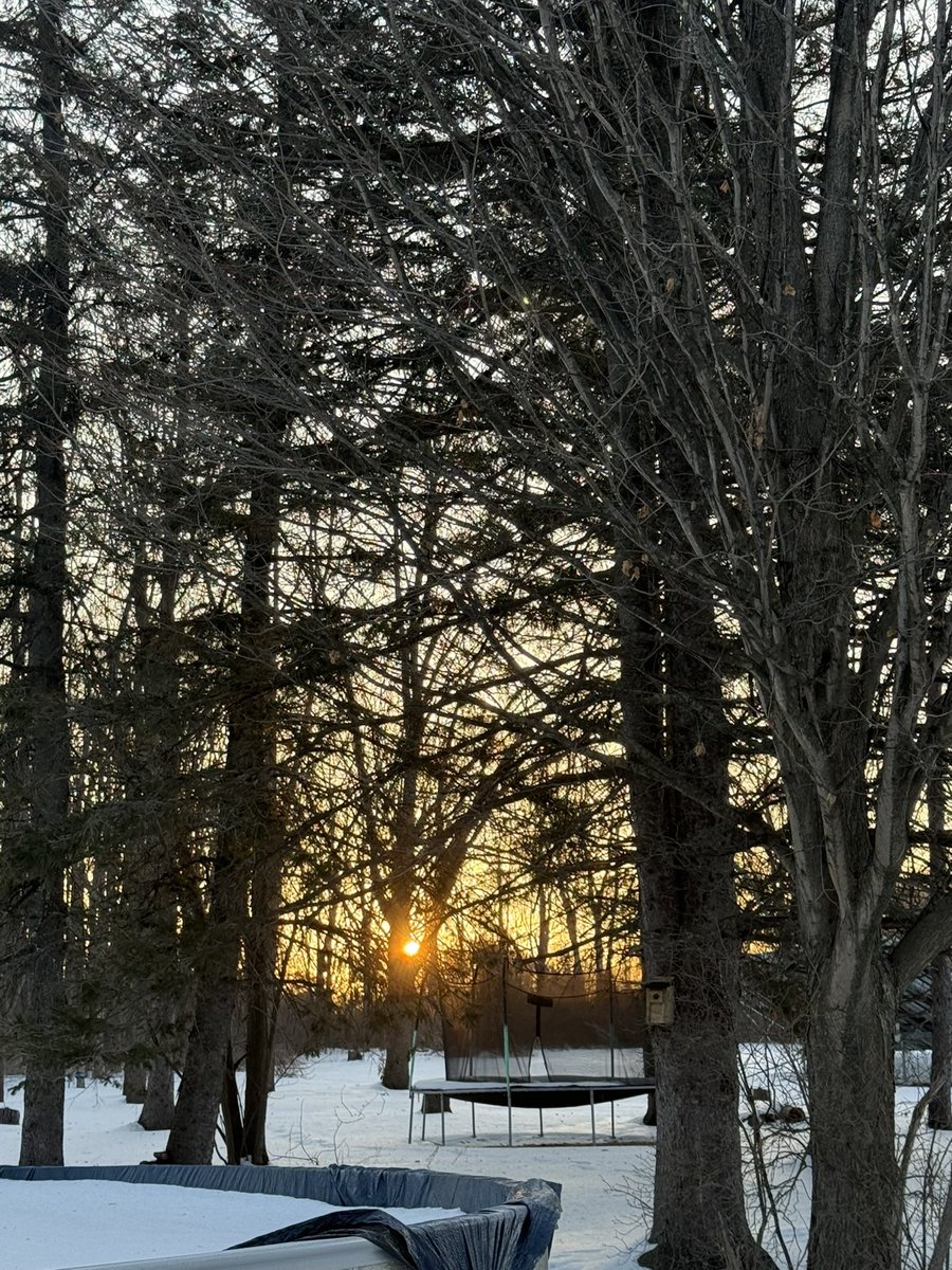 Sunrise person or night owl?

Sunrise for me. ☕️