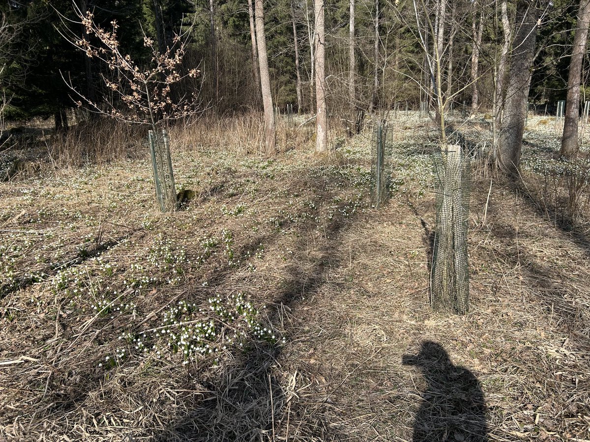 Bledule kam se podíváš 😃 kudyznudy.cz/aktivity/priro…