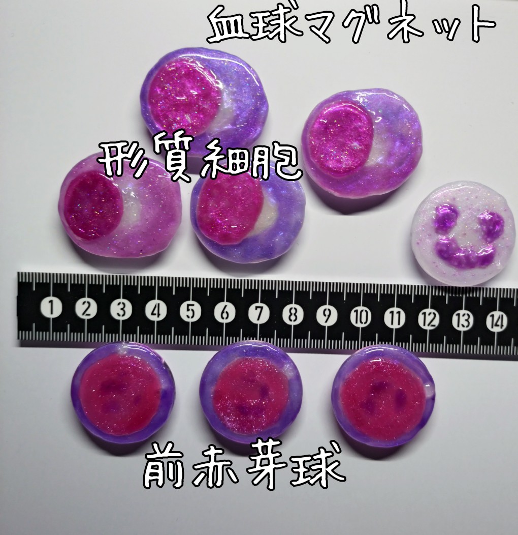 プルピラボ☆4/12医療×ざっかふぇす2026委託 tweet media