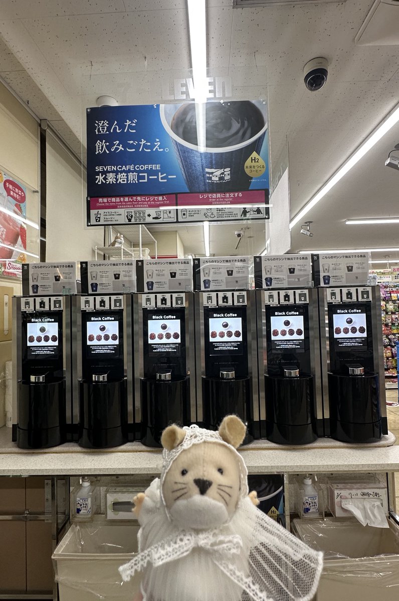 ネッピー・チーズ(本人) tweet media