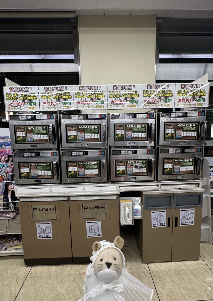 ネッピー・チーズ(本人) tweet media