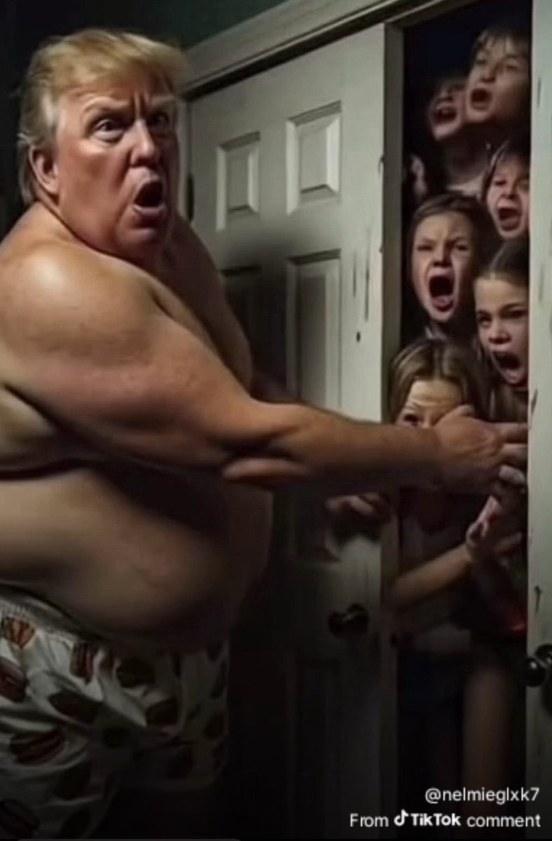 beardogflorida tweet media