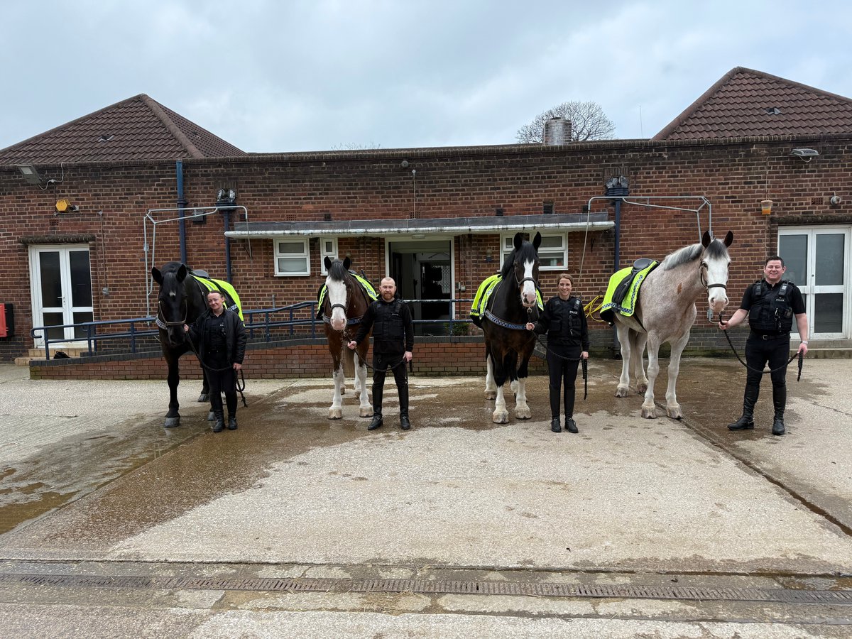 Mer Pol Mounted tweet media