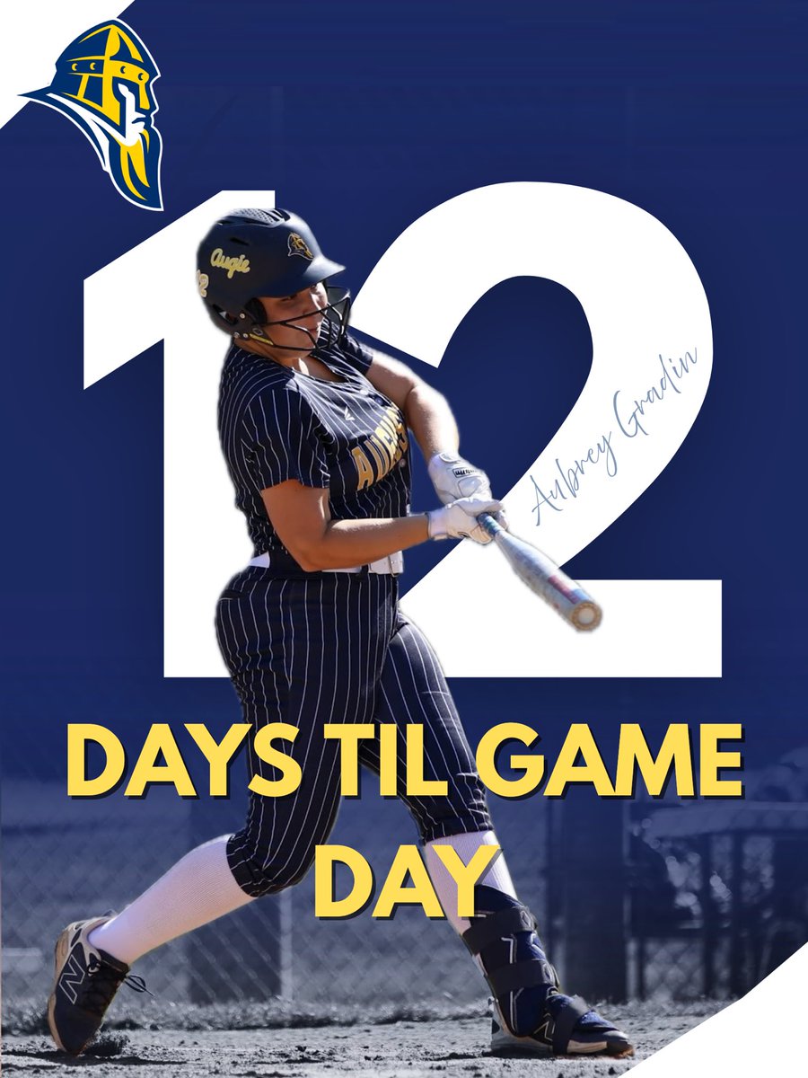 Augustana Softball tweet media